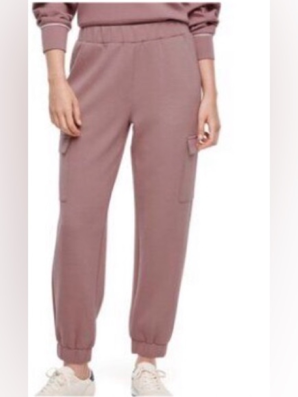 Express Mauve Cargo Jogger Pants - Express